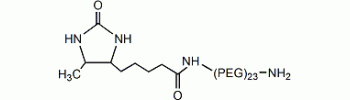 Desthiobiotin PEG23 amine